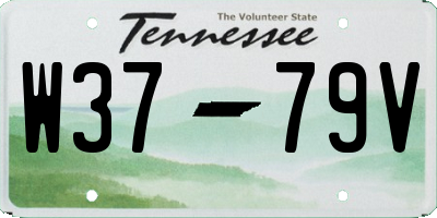 TN license plate W3779V