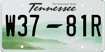 TN license plate W3781R