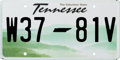 TN license plate W3781V