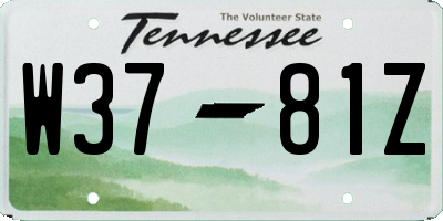 TN license plate W3781Z