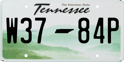 TN license plate W3784P