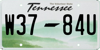 TN license plate W3784U