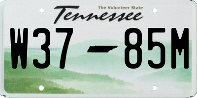 TN license plate W3785M