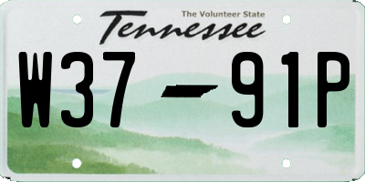 TN license plate W3791P
