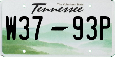TN license plate W3793P