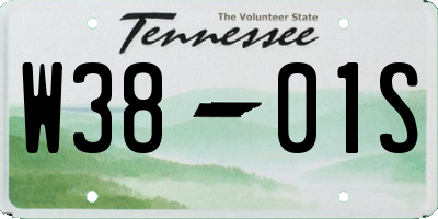 TN license plate W3801S
