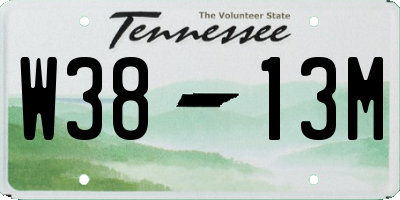 TN license plate W3813M