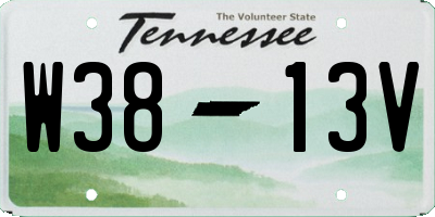TN license plate W3813V