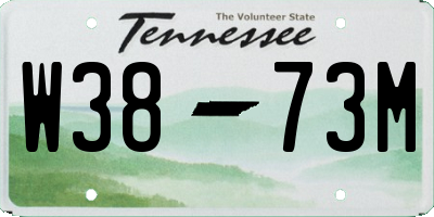 TN license plate W3873M