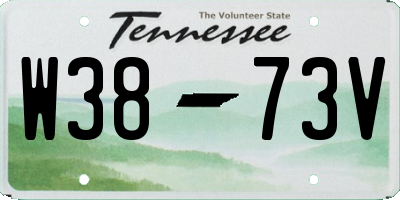 TN license plate W3873V