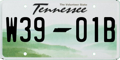 TN license plate W3901B