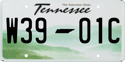 TN license plate W3901C