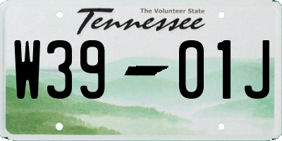 TN license plate W3901J
