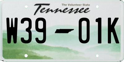 TN license plate W3901K