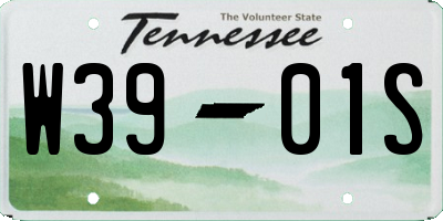 TN license plate W3901S