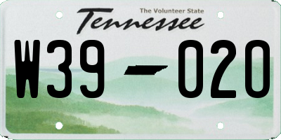 TN license plate W3902O