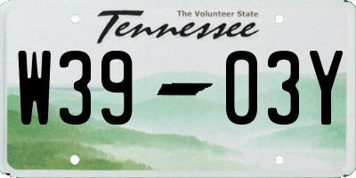 TN license plate W3903Y