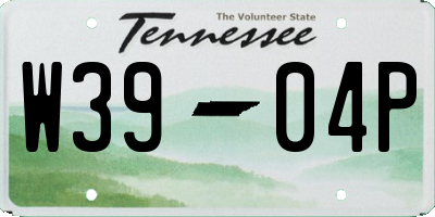 TN license plate W3904P