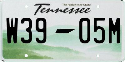 TN license plate W3905M