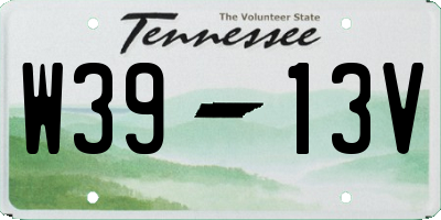 TN license plate W3913V