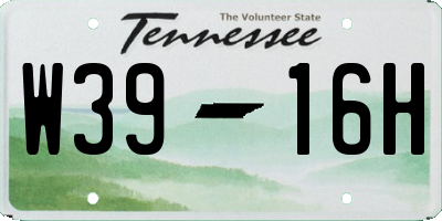 TN license plate W3916H