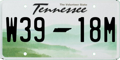 TN license plate W3918M