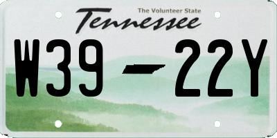 TN license plate W3922Y