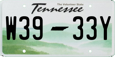 TN license plate W3933Y