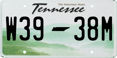 TN license plate W3938M