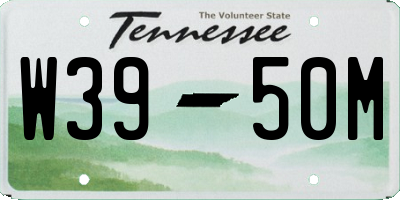 TN license plate W3950M