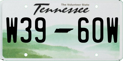 TN license plate W3960W