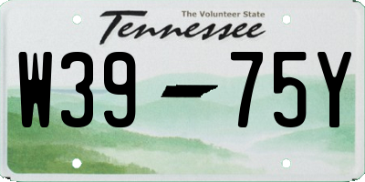 TN license plate W3975Y