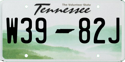 TN license plate W3982J