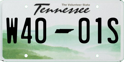 TN license plate W4001S