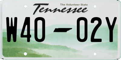 TN license plate W4002Y