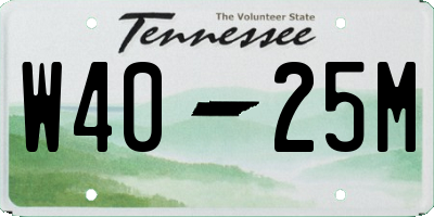 TN license plate W4025M