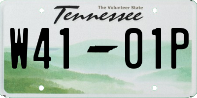 TN license plate W4101P