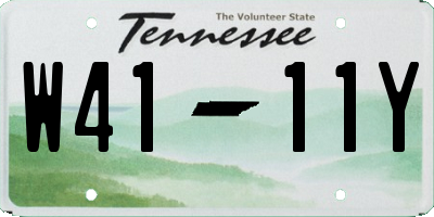 TN license plate W4111Y
