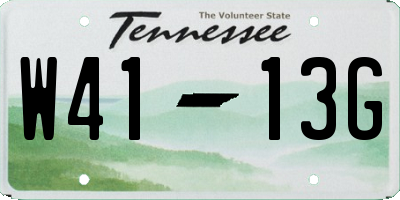 TN license plate W4113G