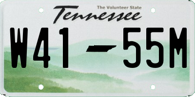 TN license plate W4155M