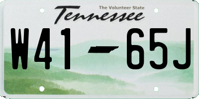 TN license plate W4165J