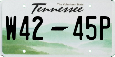 TN license plate W4245P