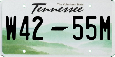 TN license plate W4255M