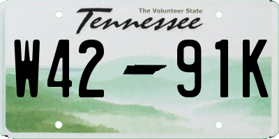 TN license plate W4291K