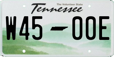 TN license plate W4500E