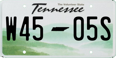 TN license plate W4505S
