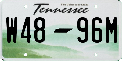 TN license plate W4896M