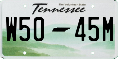 TN license plate W5045M