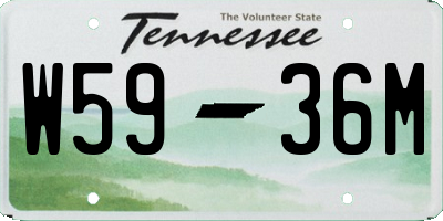 TN license plate W5936M