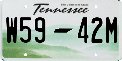 TN license plate W5942M